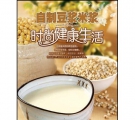 自制豆浆米浆时尚健康生活PDF书籍