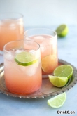 꼦β The perfect paloma cocktail