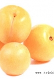杏子 Apricot