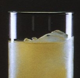 Ī˹⼦β Mauresque Cocktail