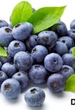 蓝莓 Blueberry